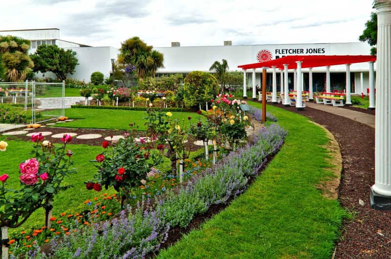 Image of the beautiful rose gardens at the Fletcher Jones markets in Warrnambool.