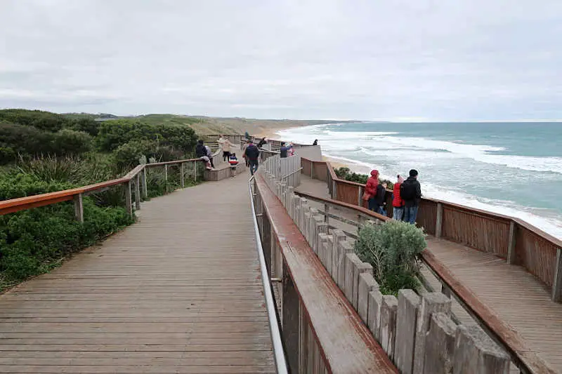 People scanning the ocean for whales in Warrnambool at Logans Beach whale watching platform.