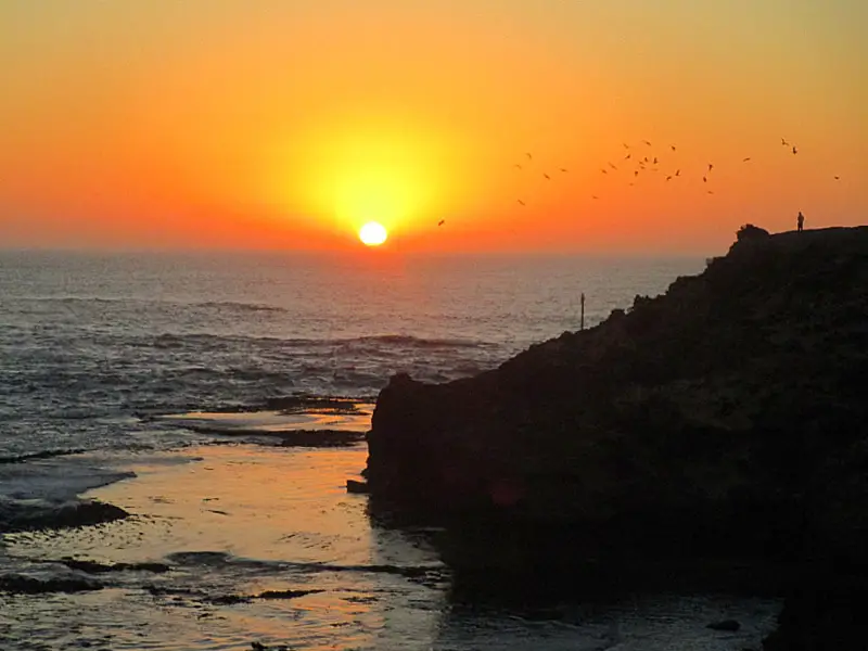 Thunder Point in Warrnambool at sunset with orange skies, a flock of sea gulls in the air, and a person standing on top of the cliff in silhouette.