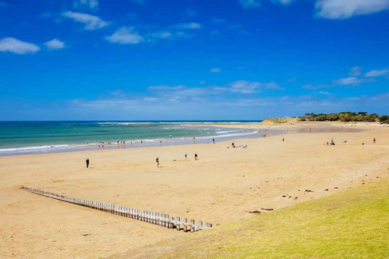 21 Best Things To Do In Torquay Victoria (2024)