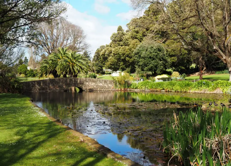 Lilly pond and stone bridge surrounded by lush grass and trees at Warrnambool Botanical Gardens. 