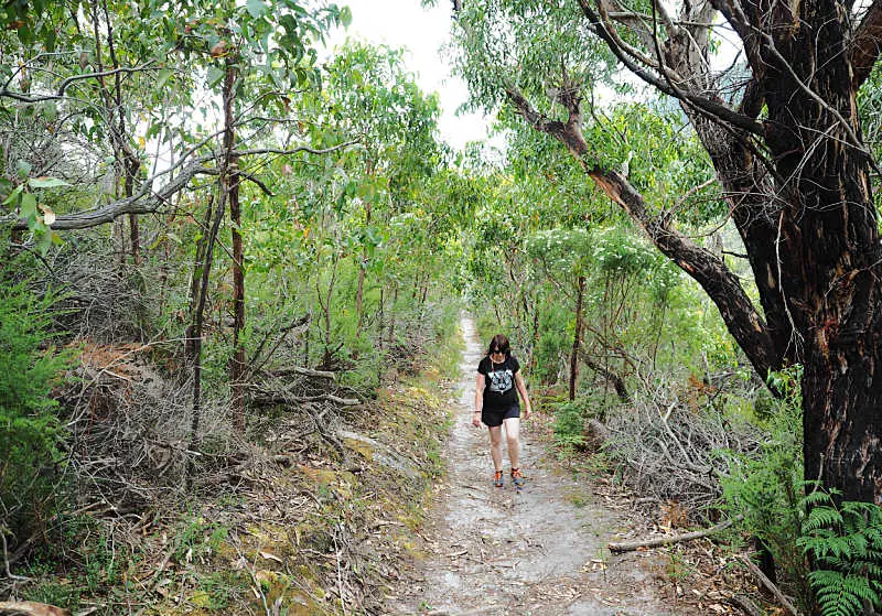 Woman hiking along a Wilsons Prom Walk one of the many Wilsons Prom things to do.