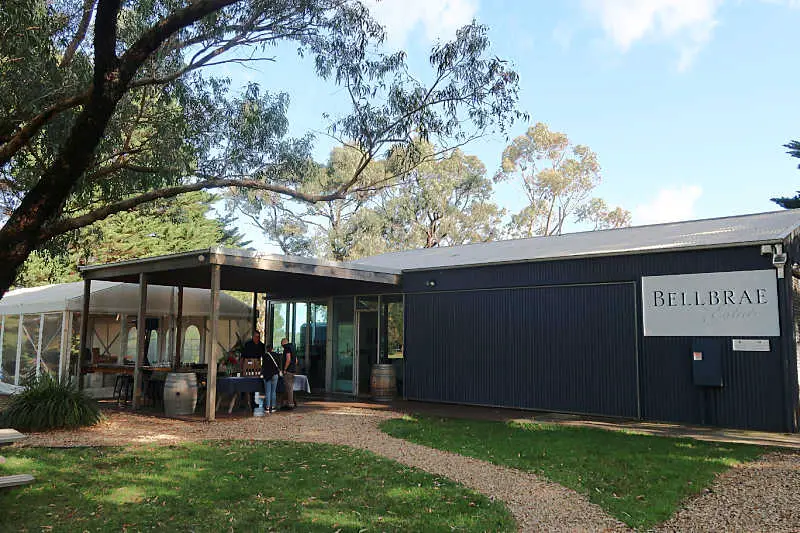 Entrance to Bellbrae Estate winery Torquay under a shady tree.