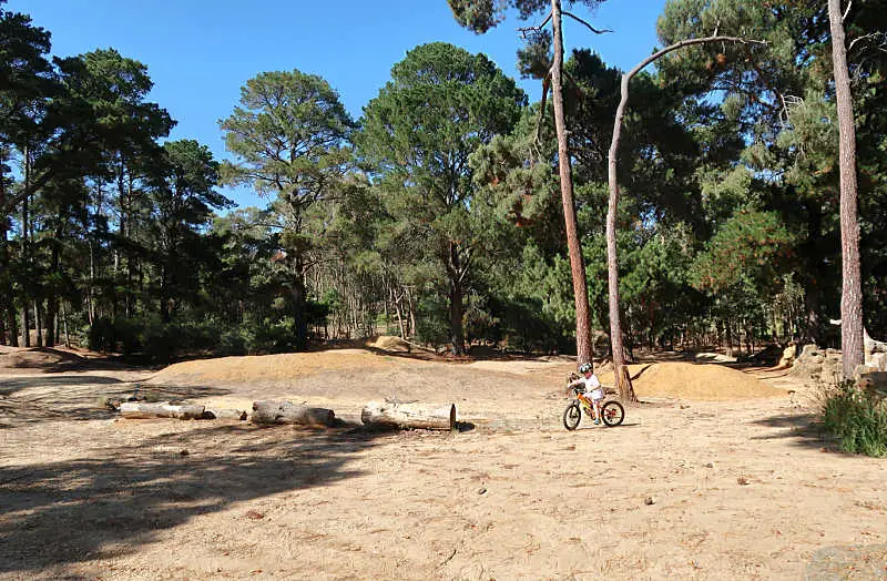 Boy riding his bike at Anglesea Bike Park.