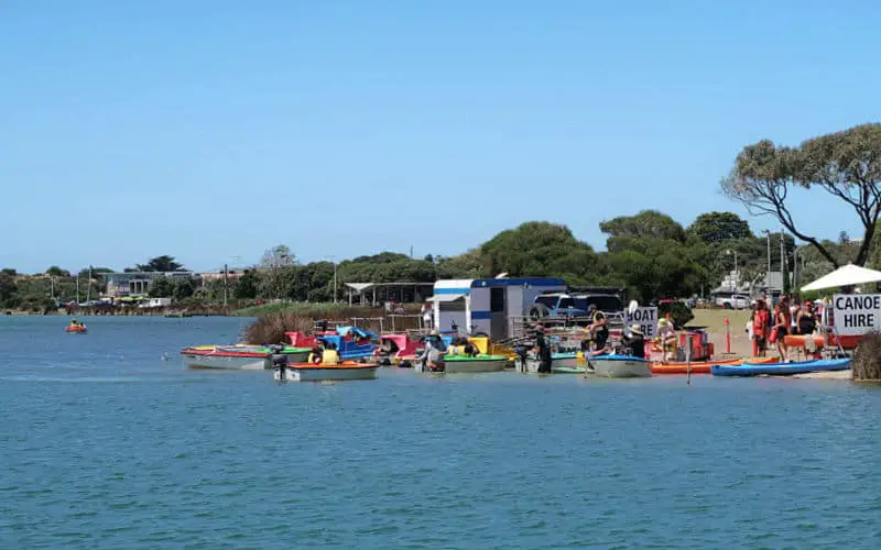 Paddle boats on the Anglesea River one of the fun things to do in Anglesea Victoria on the Great Ocean Road.