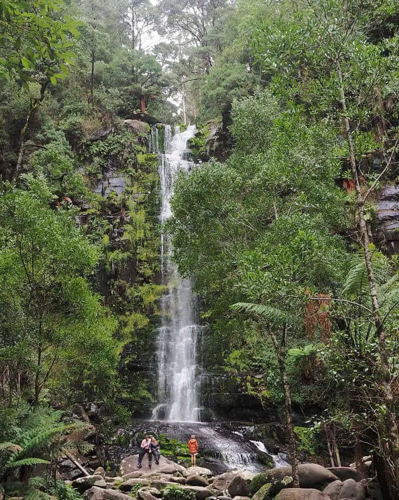 Erskine Falls in Lorne surrounded by rainforest and rocks with people siting at its base.
