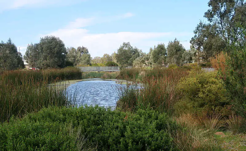 View of a small lake with reeds and a bridge on the Harpley Discovery Trail in Werribee.