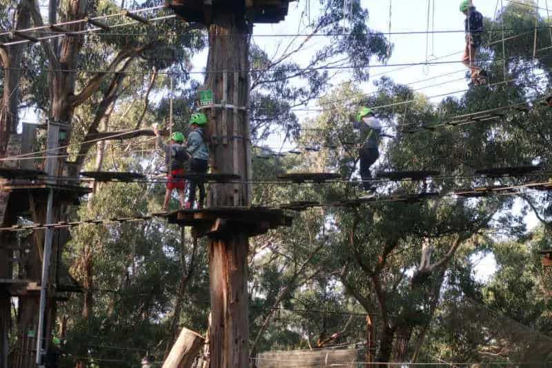 Kids on the Short Circuit at Live Wire Park in Lorne Victoria.