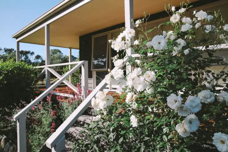 Terrace with stairs and white rose garden at Olivi Bed and Breakfast Wilsons Promontory accommodation
