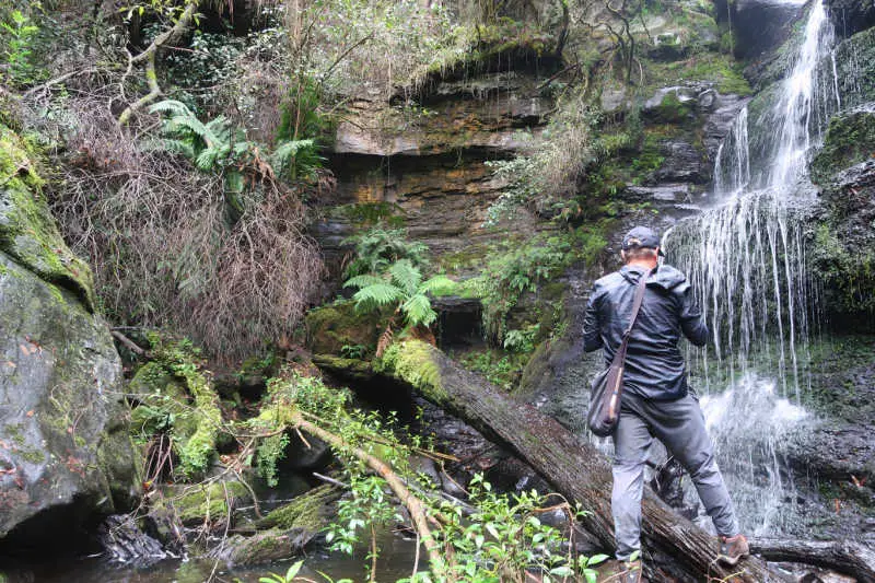 Man exploring the Otways walks and Otways waterfalls.