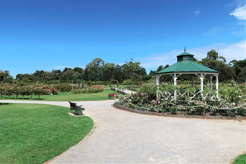 Roses, garden path, park bench and rotunda at the Werribee Rose Garden.