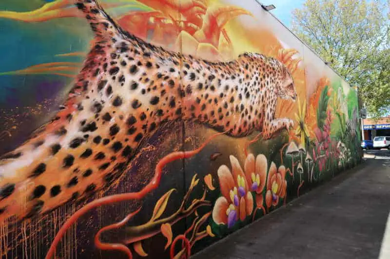 Street Art in Werribee Victoria - painting of a cheetah on a wall.