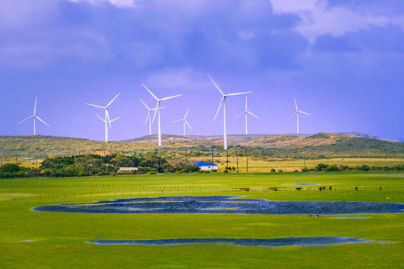 Wind farm in country Victoria with cows and water holes.