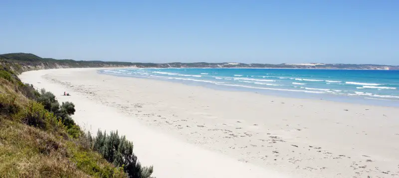 View of the stunning white sand and blue ocean of Cape Bridgewater Beach Portland.