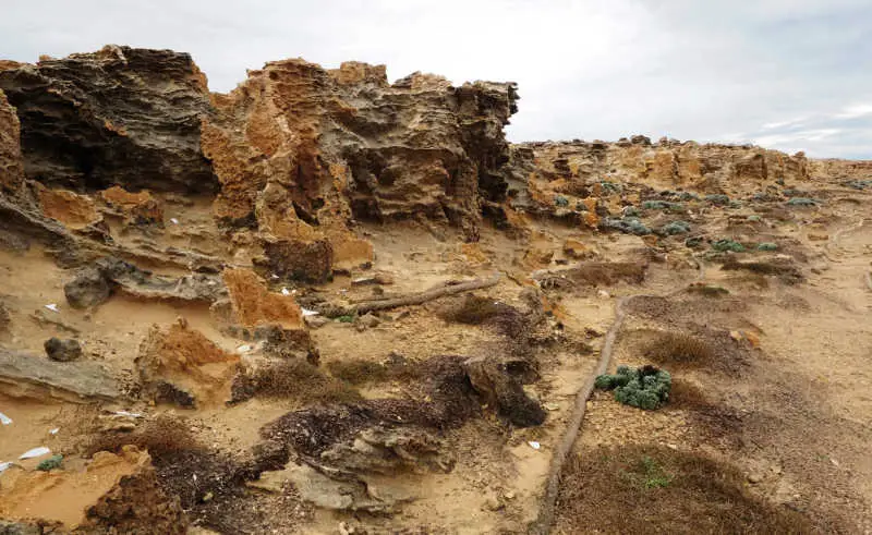 Cape Bridgewater Petrified Forest