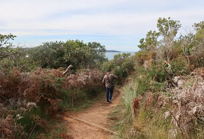 View of a man walking along a track at Cape Nelson Portland with views of the ocean in the background.