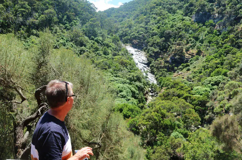 Man viewing Carisbrook Falls from the lookout along the Great Ocean Road in Victoria Australia.