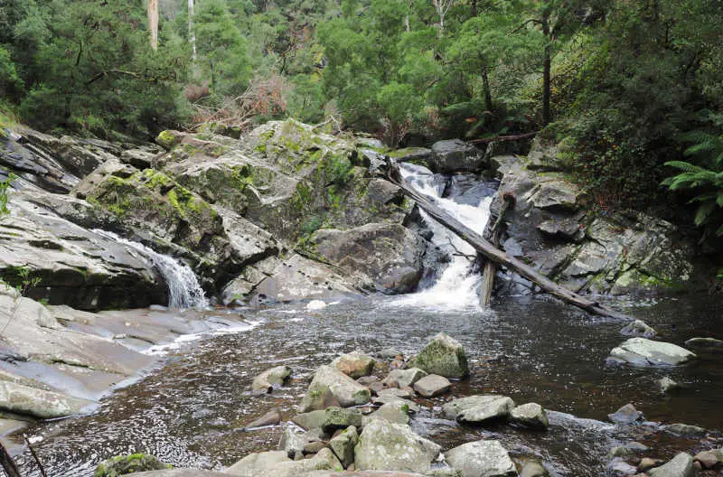 Cumberland Falls is a small waterfall near Lorne in the Otway National Park in Victoria.