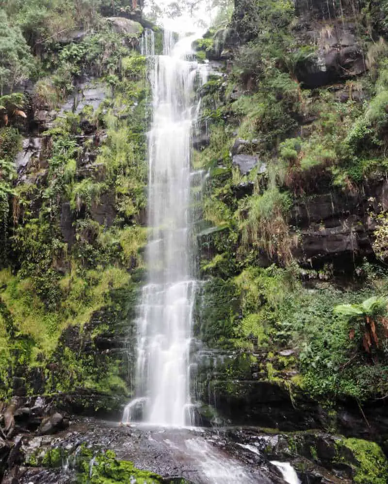 Picture of Erskine Falls  one of the most popular Otways Waterfalls.