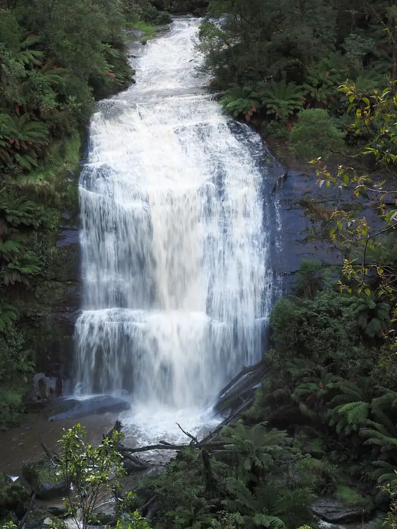 Water pouring into a pool surrounded by lush greenery at Little Aire Falls in the Otway ranges.