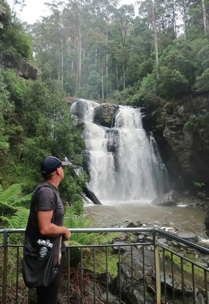 Tourist looking at Stevensons Falls in the Otways from the top lookout. The waterfall drops into a large pool and is surrounded by lush greenery.