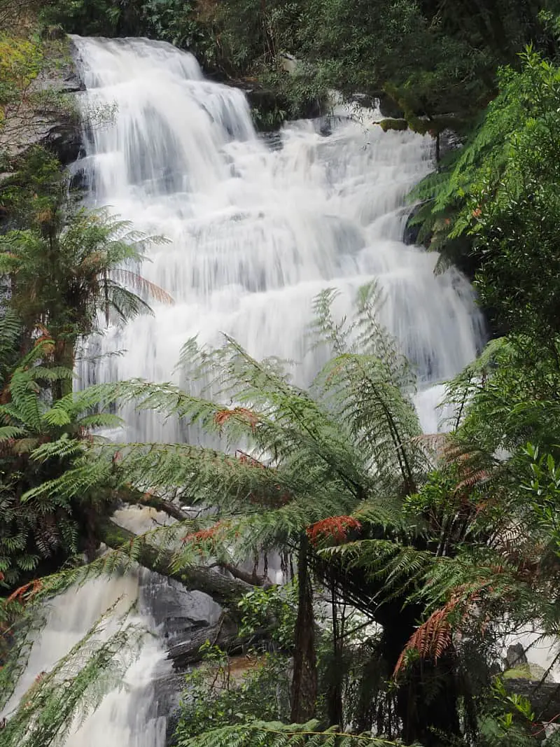 The cascading Triplet Falls surrounded by lush greenery one of the beautiful places to visit near Apollo Bay on the Great Ocean Road Victoria.