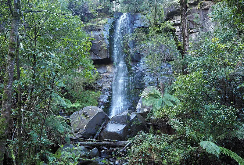 View of Upper Kalimna Falls surrounded by trees.
