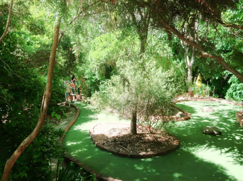 Adventure Golf in Halls Gap mini golf course surrounded by Australian bush.