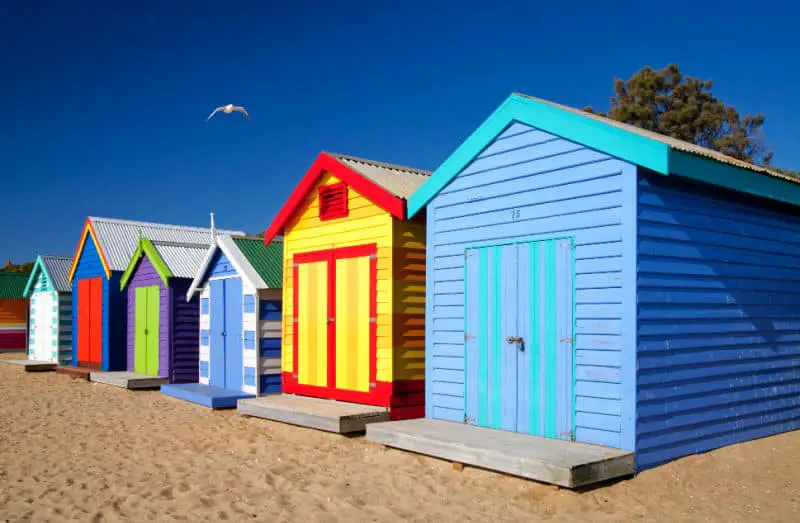 Seagull flying over the colourful Brighton Boxes under a deep blue sky in Melbourne Victoria Australia.