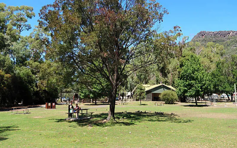 Trees, tables, and parkland at the Halls Gap picnic area.