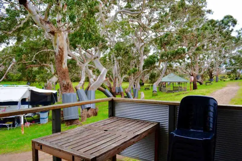 Outdoor deck and trees at Bimbi Park - Under the Koalas 