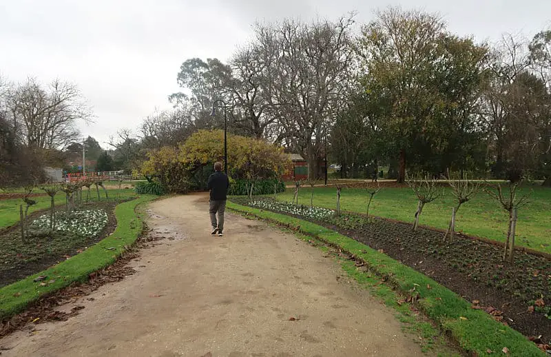 Person walking along a path through the Castlemaine Botanical Gardens in winter.
