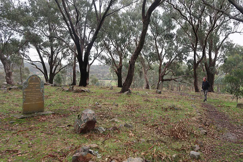Gravestones among eucalyptus trees on a cold winter's day at the Pennyweight Flat Children's Cemetery in Victoria Australia.