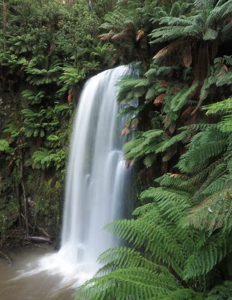 Beauchamp Falls cascading into a pool surrounded by lush greenery in the Otway National Park Victoria.