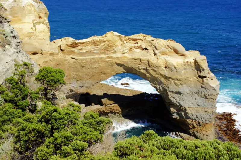 View of the curved arch in Port Campbell National Park on the Great Ocean Road with the deep blue sea behind it and green shrubs in the foreground.