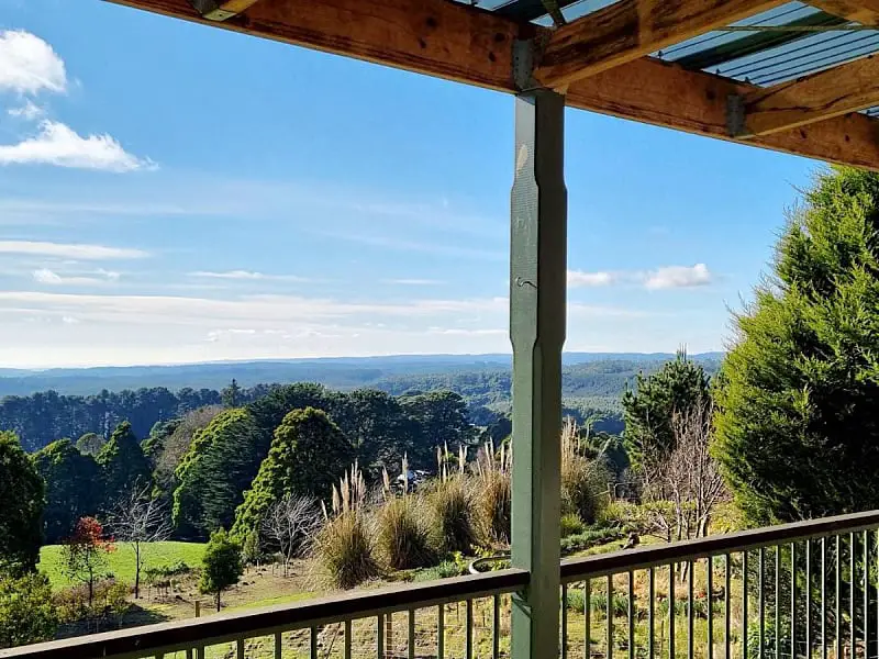 View of the forest from a wooden verandah at the best Otways accommodation in Victoria.