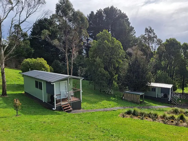 View of the cabins at Cozy Otways accommodation with big trees in the background.