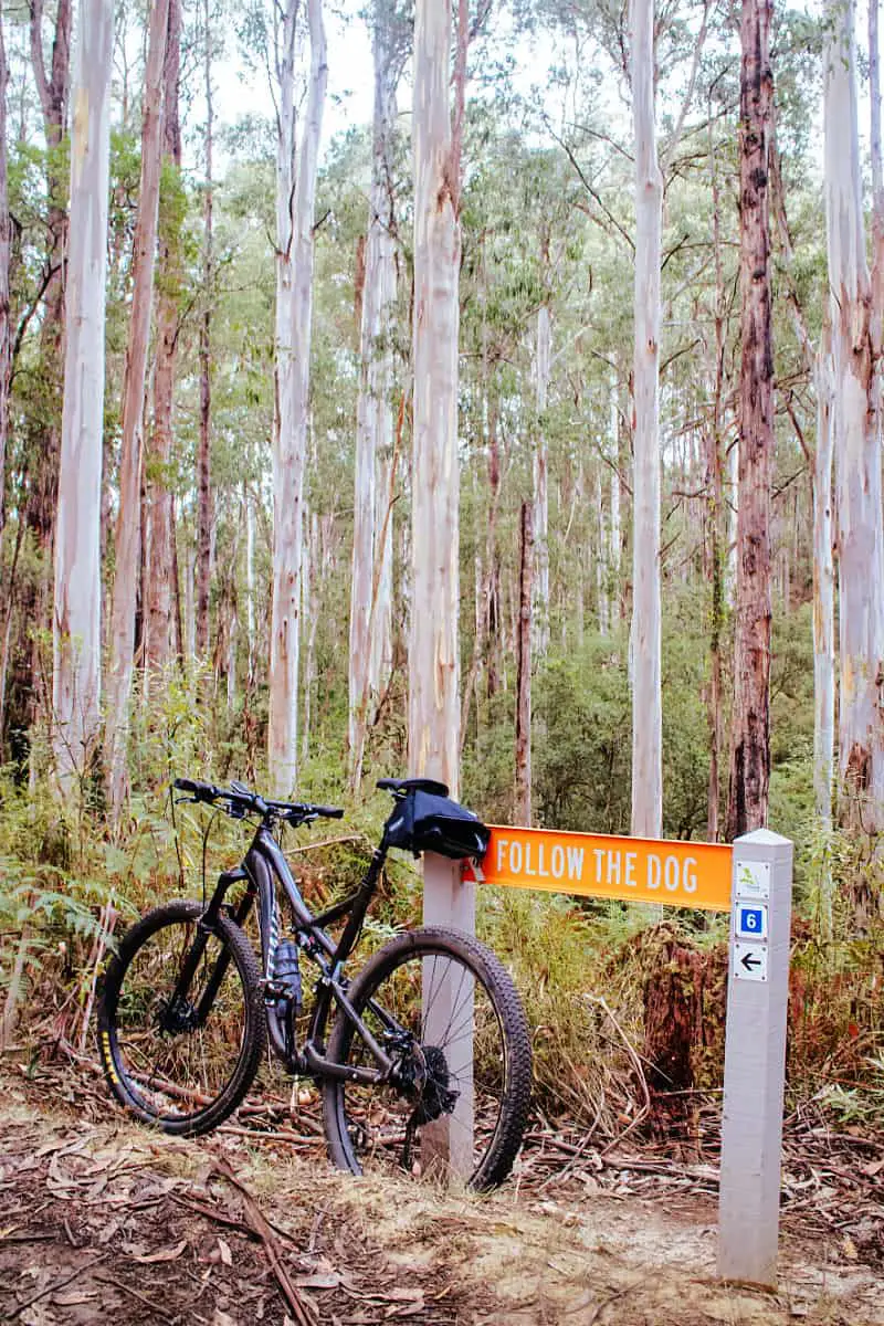 A mountain bike leaning against a sign on a Forrest Mountain Bike Trail in the Otways National Park.