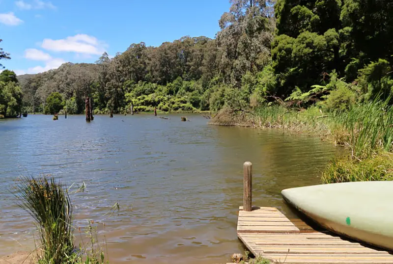 Image of a moored canoe and jetty at Lake Elizabeth in the Otways surrounded by trees and reeds. A platypus tour is one of the top Otways things to do. 