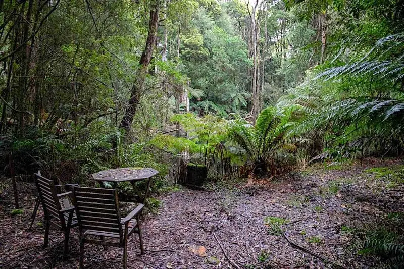 Table and chairs surrounded by the Otway Forest at Parkwood Cottage Lavers Hill in the Otway National Park Victoria.