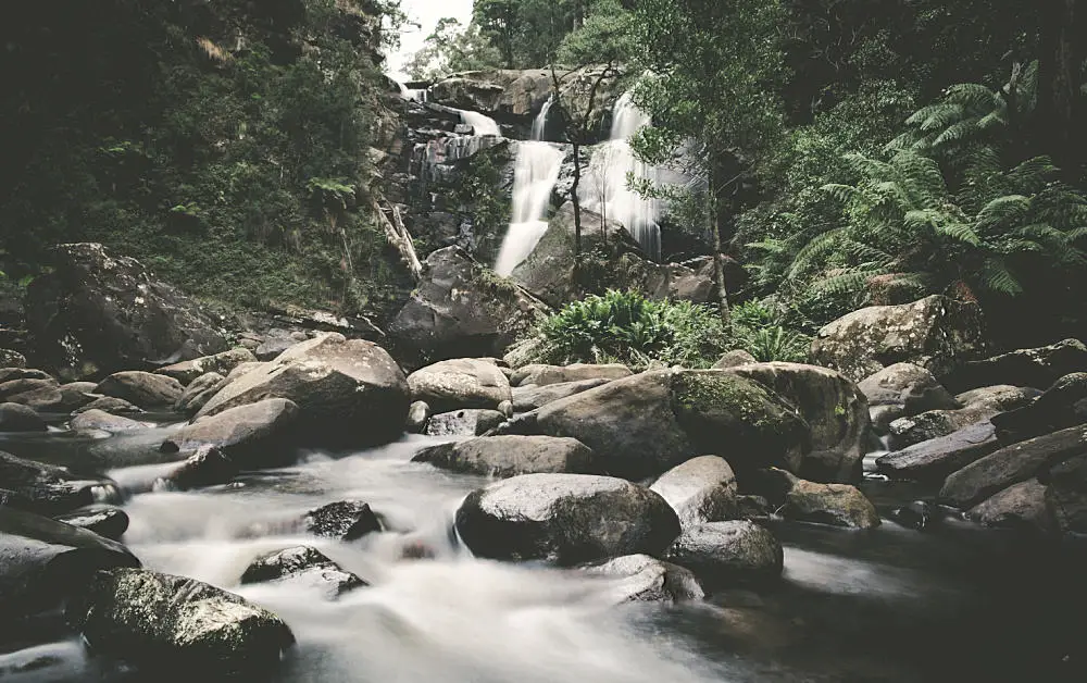 View of Stevensons Falls in the Otways surrounded by rainforest and with large rocks at the base. Visiting this waterfall is a worthwhile thing to do in the Otways.