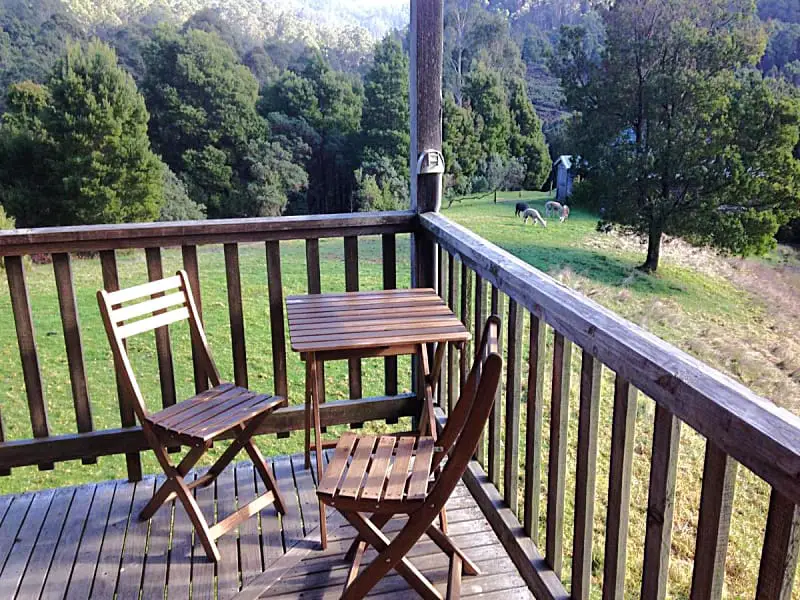 Verandah corner with table and chairs overlooking alpacas grazing on the grass at Tall Trees Eco Retreat in the Otways National Park.