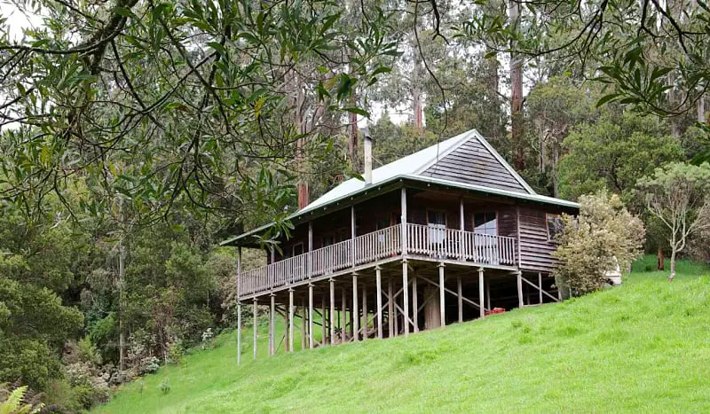 Wood cabin on stilts at Tall Trees Eco Retreat surrounded by the Otways forest.