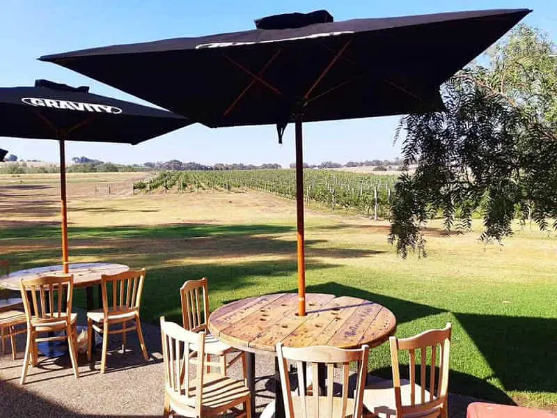 Outdoor table and chairs under umbrellas with blue sky and views of the grape vines at Bellarine Winery in Victoria Australia.