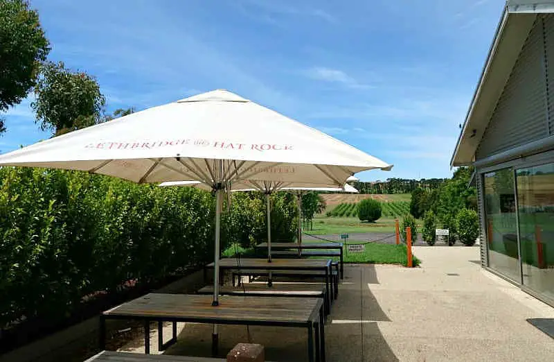 Outdoor seating and umbrellas at Lethbridge@hatrock winery and cellar door on The Bellarine with views of the  vineyards in the background and beautiful blue skies.