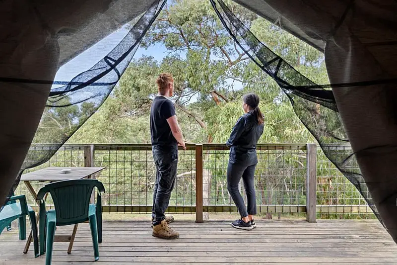 Couple standing on the balcony enjoying the bush views in a Safari Tent (glamping) at Lorne Bush House Cottages Eco Retreat.