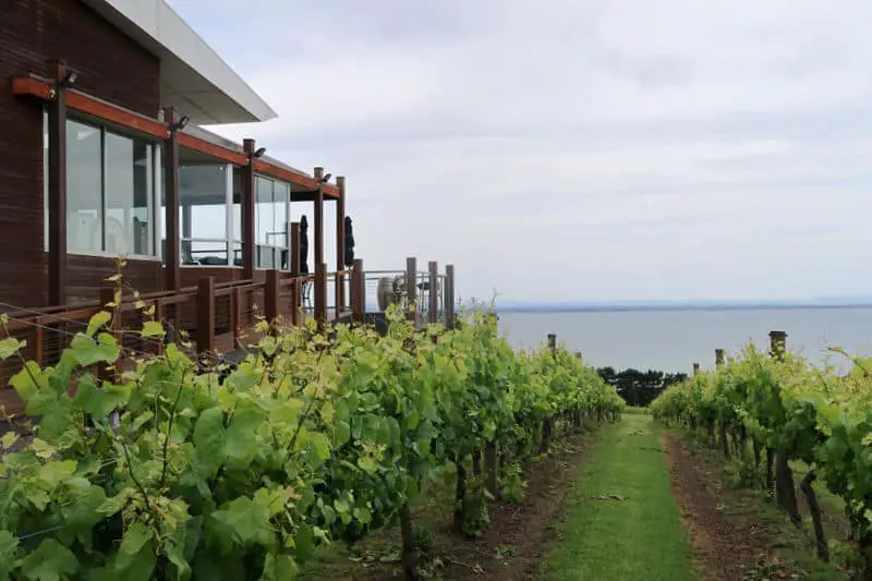 Exterior view of a Bellarine Peninsula winery restaurant with views through the vines to Corio Bay in Victoria. A Bellarine wine tour is the best way to visit the Bellarine Peninsula wineries. 