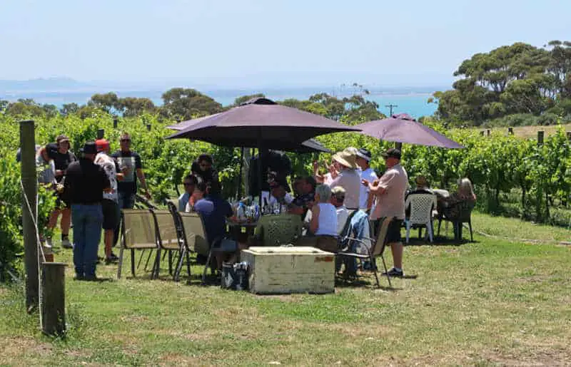 A group of people standing under umbrellas drinking wine at a Bellarine Peninsula winery. The best way to see the wineries is on one of the organised Bellarine winery tours.