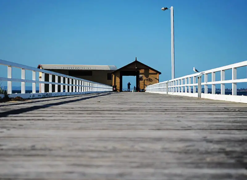 View of the Queenscliff Pier with a person standing in silhouette through the Shelter Shed and a sea gull sitting on the white balustrade.