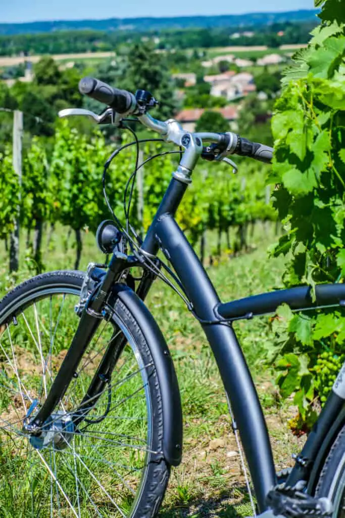 View of the front tyre and handle bars of a bike with green grape vines in the background. A self-guided cycling tour of the Bellarine Wineries is a recommend Queenscliff activity. 